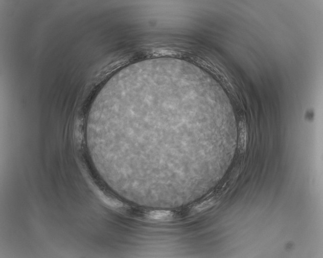 X0000116850410201002021049