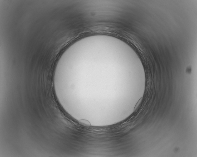 X0000116850411201002021049