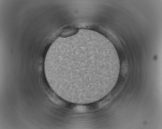 X0000116850413201002021049