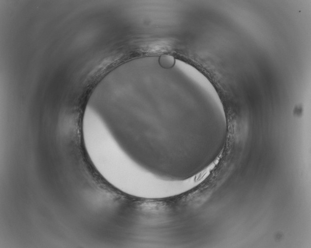 X0000116850415201002021049