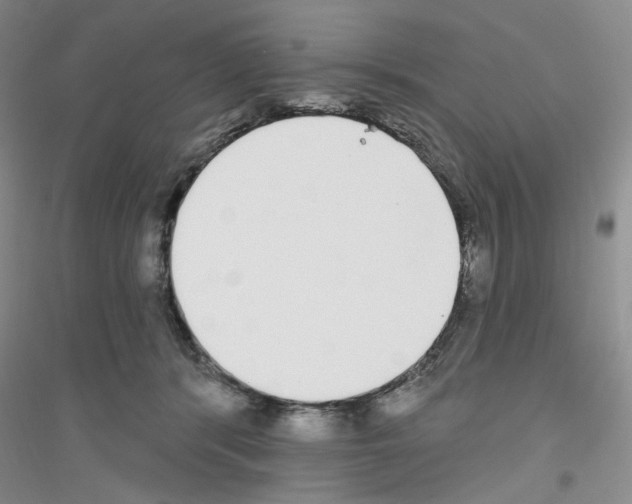 X0000116850416201002021049