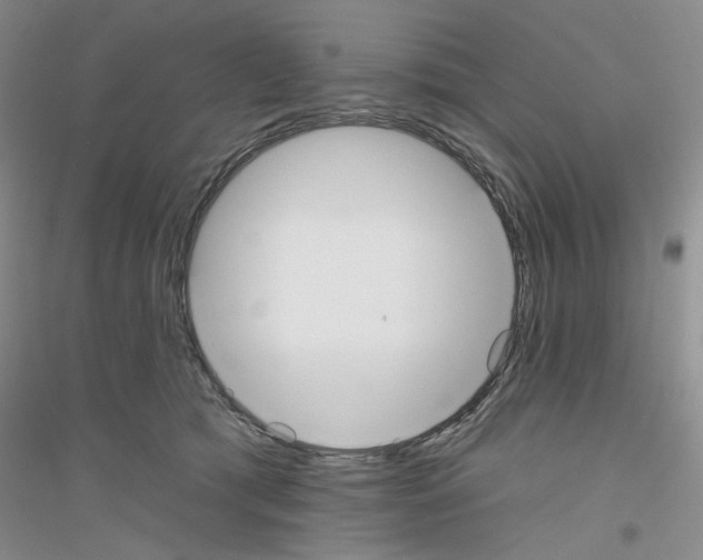 X0000116850417201002021049