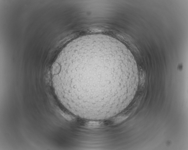 X0000116850418201002021049