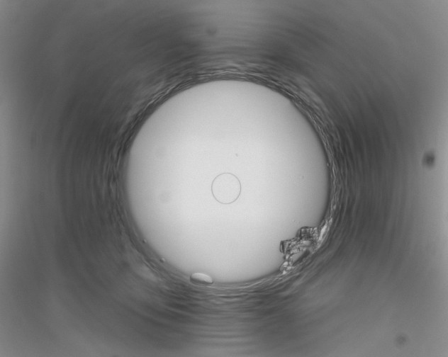 X0000116850419201002021049