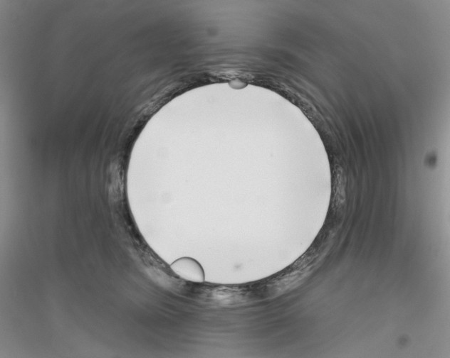 X0000116850420201002021049