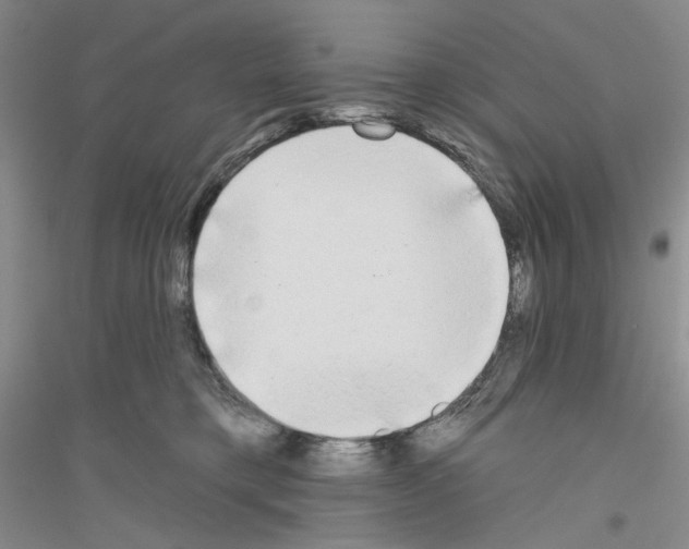 X0000116850421201002021049