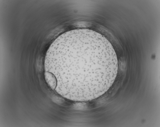 X0000116850422201002021049