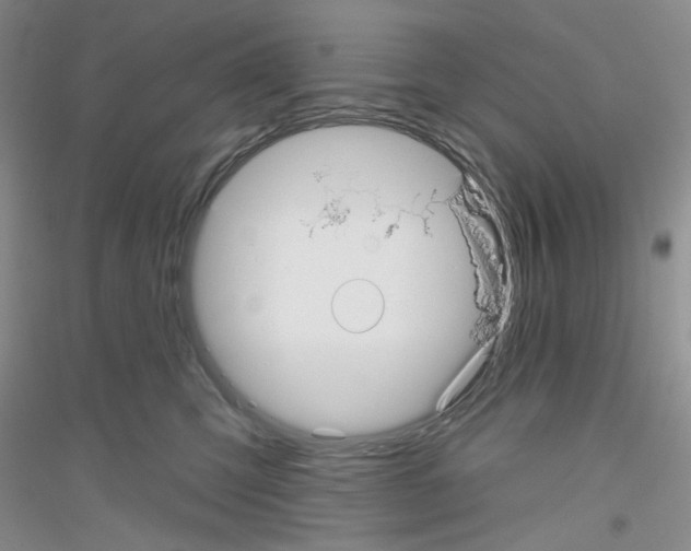 X0000116850423201002021049