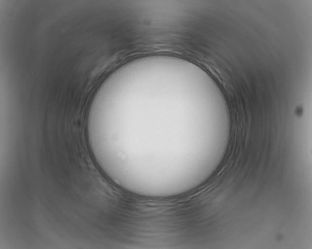 X0000116850427201002021049
