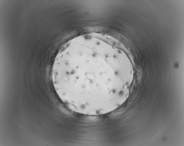 X0000116850428201002021049