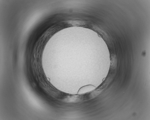 X0000116850430201002021049