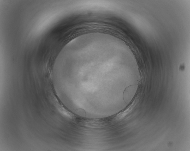 X0000116850431201002021049