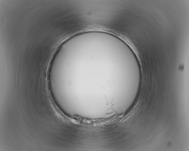 X0000116850433201002021048