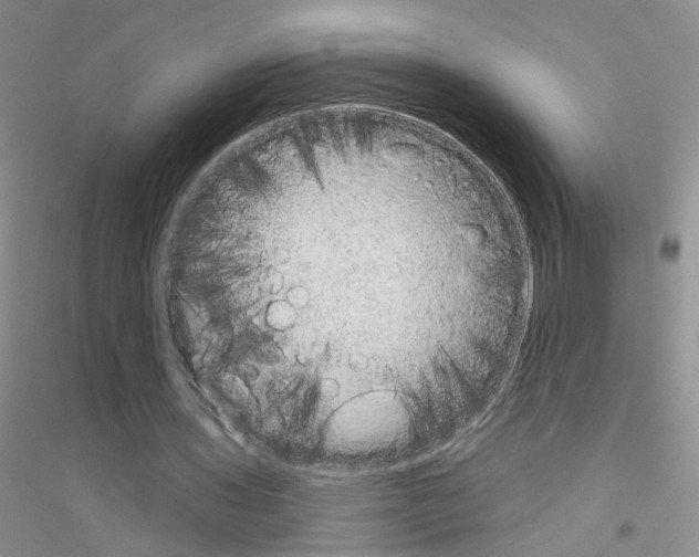 X0000116850435201002021048