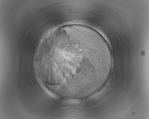 X0000116850437201002021048