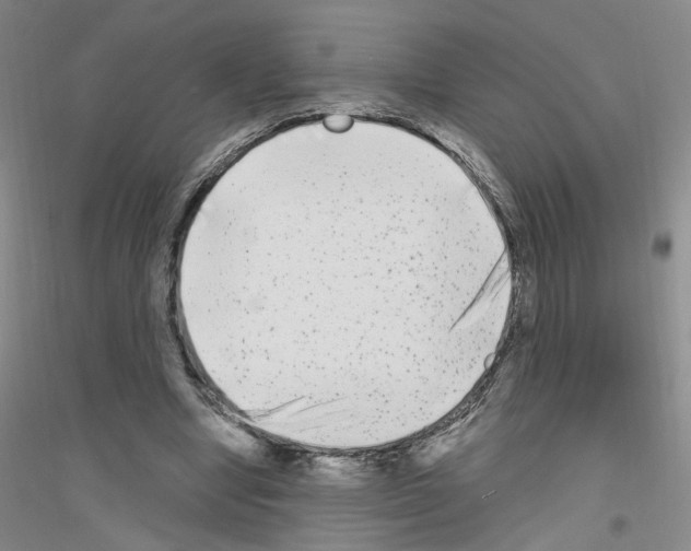 X0000116850442201002021049