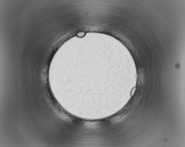 X0000116850450201002021049