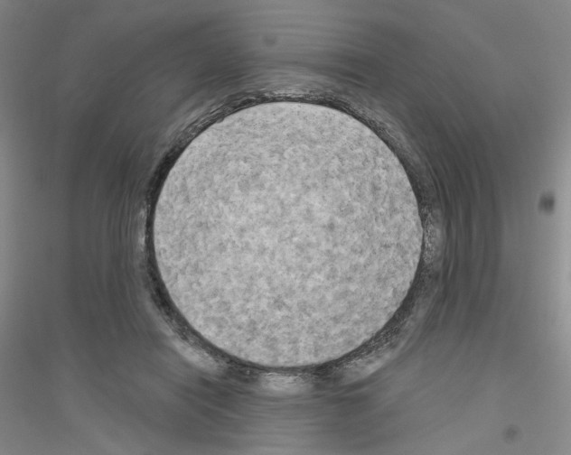 X0000116850454201002021049