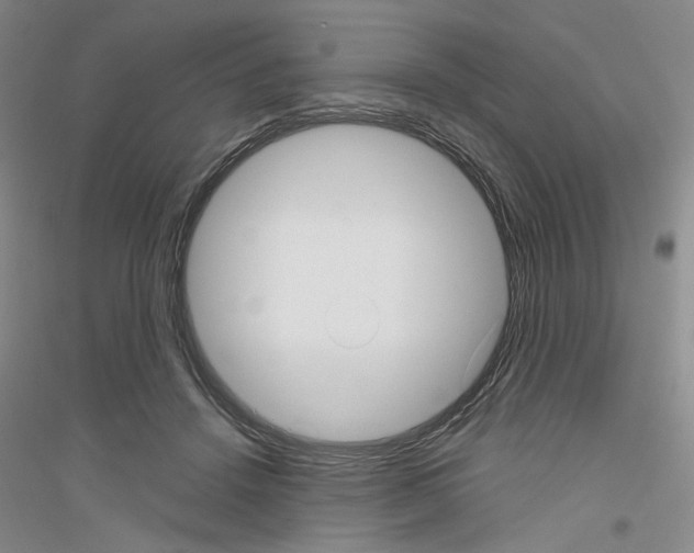 X0000116850456201002021049