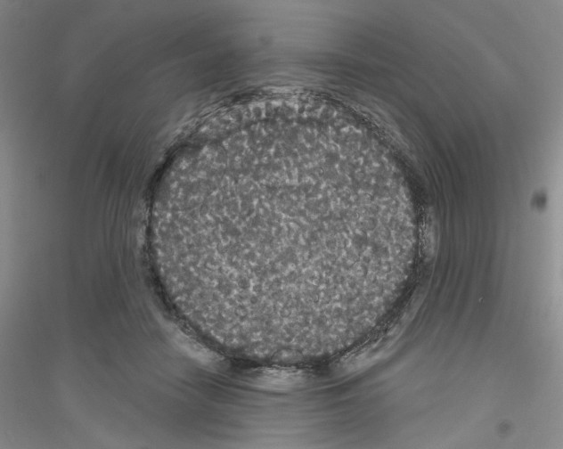X0000116850458201002021049