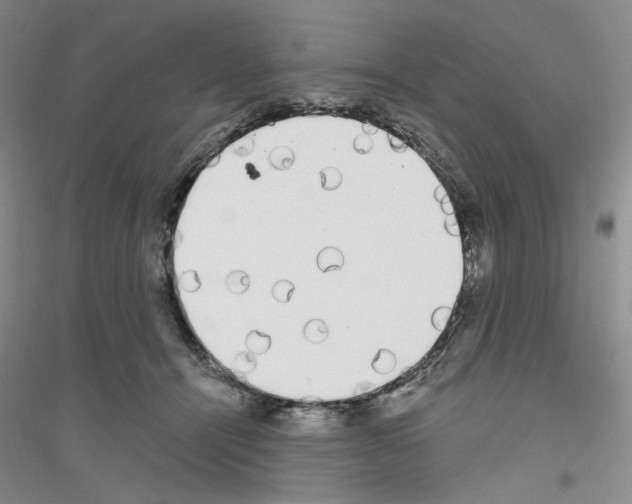 X0000116850464201002021049