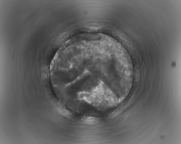 X0000116850467201002021049
