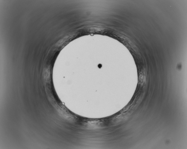 X0000116850468201002021049