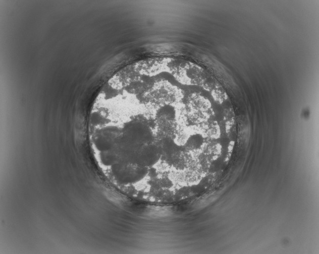 X0000116850469201002021049