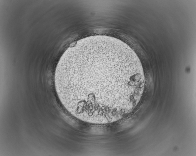 X0000116850470201002021049