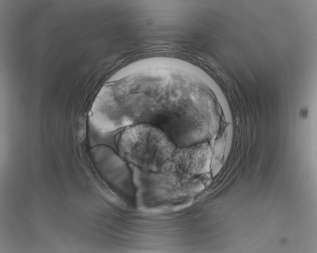 X0000116850471201002021049