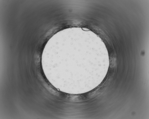 X0000116850472201002021049