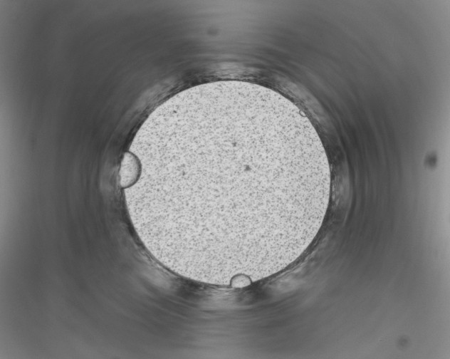 X0000116850473201002021049