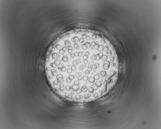 X0000116850474201002021049