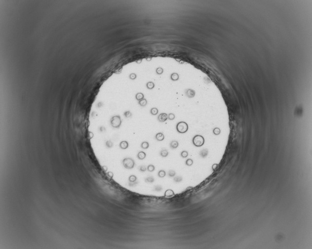 X0000116850476201002021049