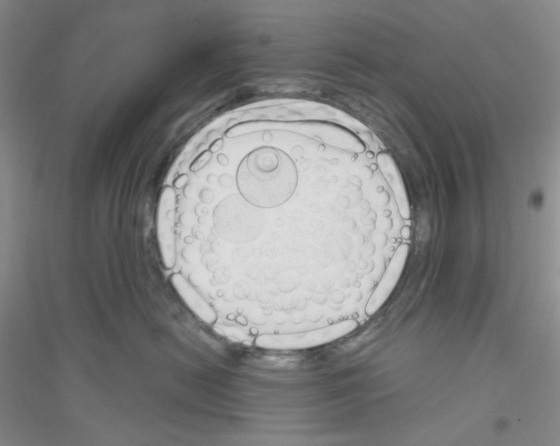 X0000116850478201002021049
