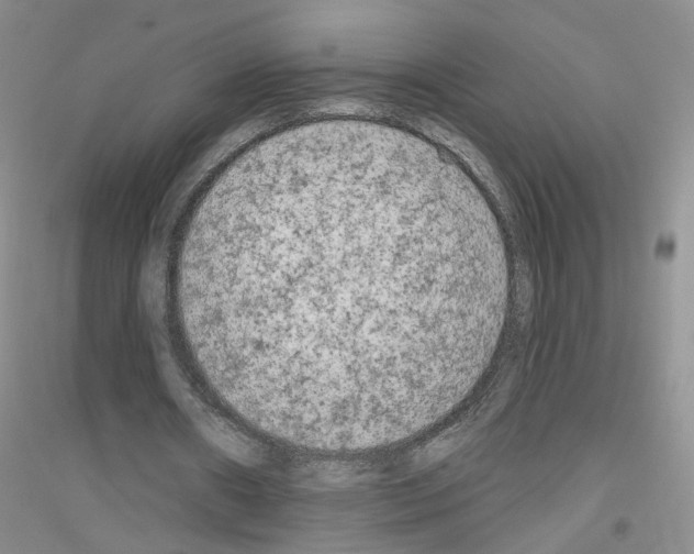 X0000116850482201002021048