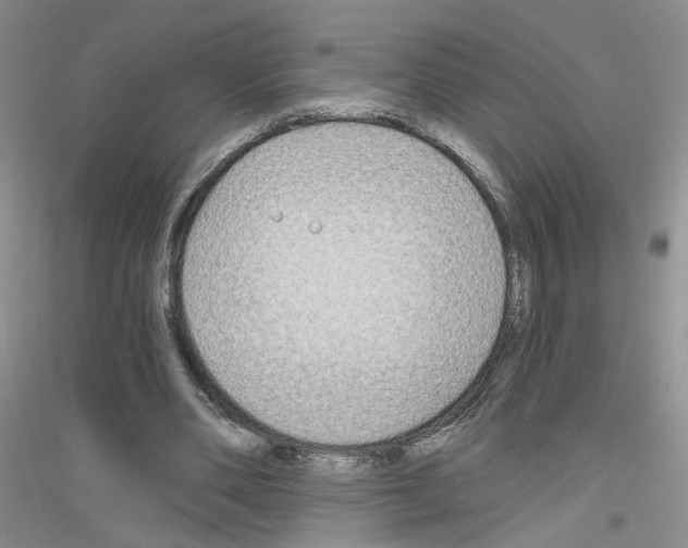 X0000116850486201002021048