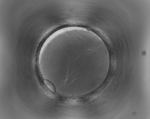 X0000116850488201002021048