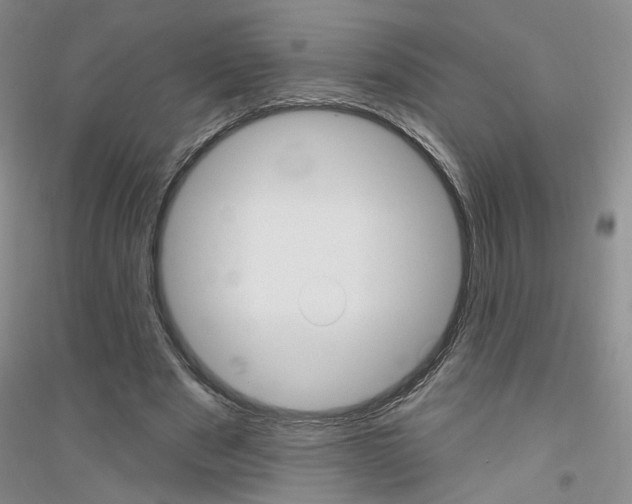 X0000116850489201002021048