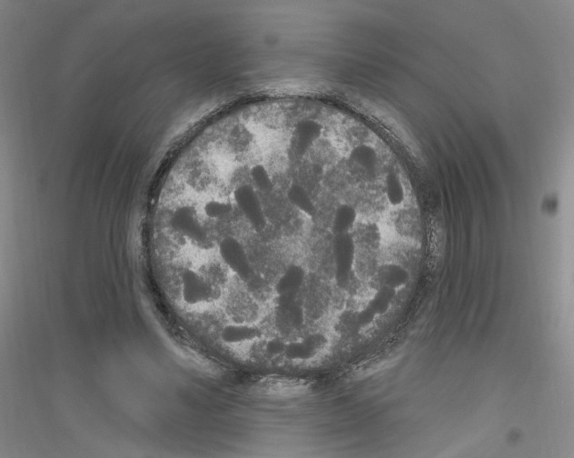 X0000116850491201002021048
