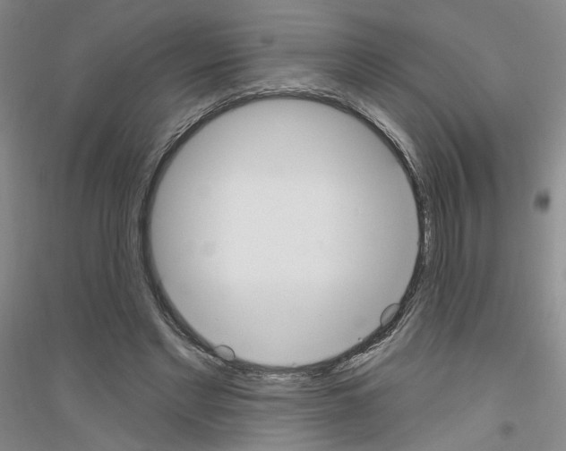 X0000116850493201002021048