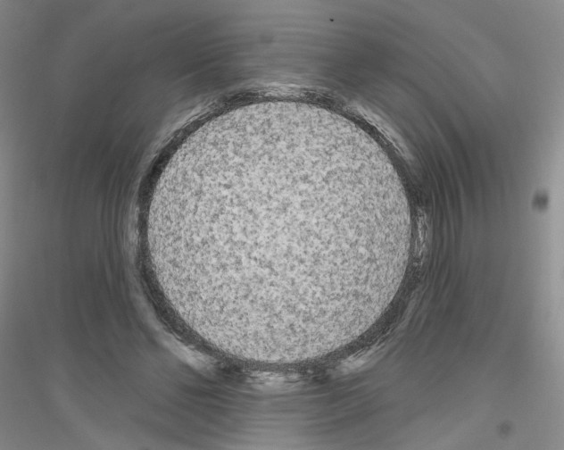 X0000116850494201002021048