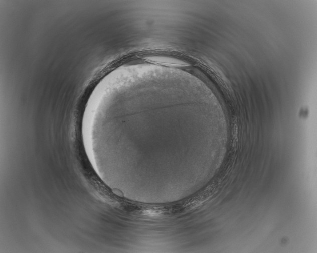 X0000116850496201002021048
