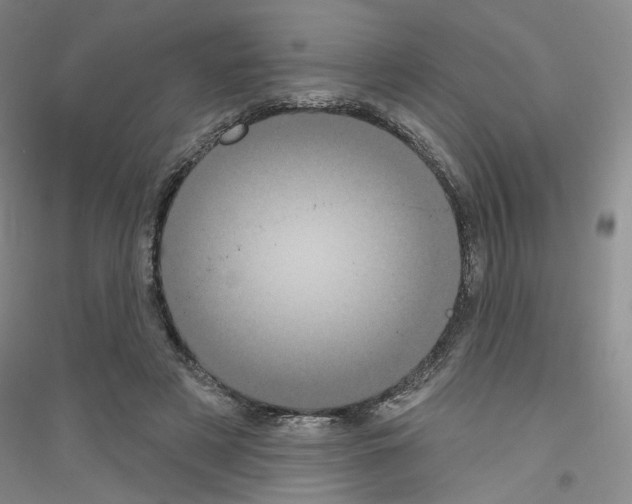 X0000116850497201002021048