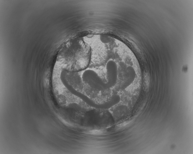 X0000116850499201002021048