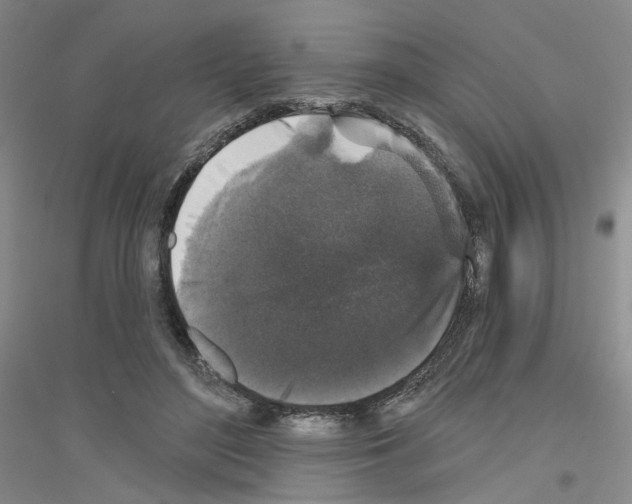 X0000116850500201002021048