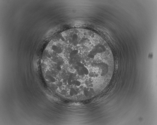 X0000116850503201002021048
