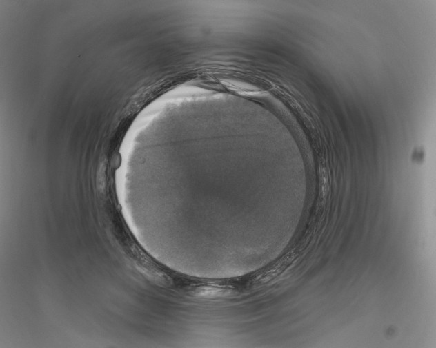 X0000116850504201002021048
