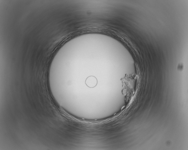 X0000116850505201002021048