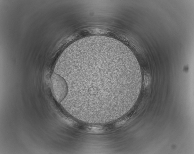 X0000116850506201002021048